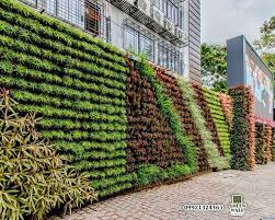 Green Walls